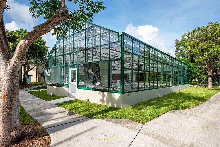 University of Miami Greenhouse